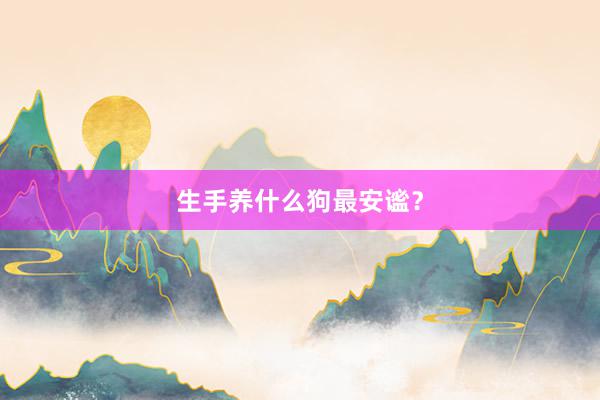 生手养什么狗最安谧？