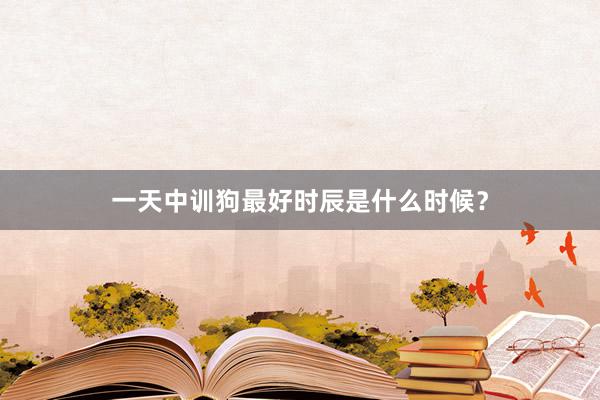 一天中训狗最好时辰是什么时候？